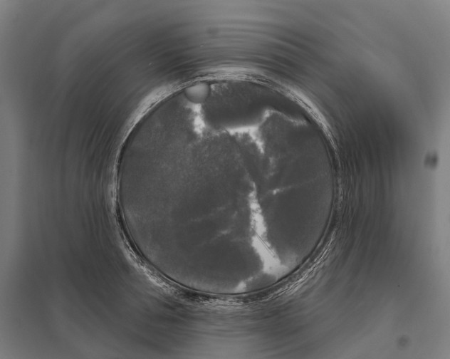 X0000097630994200803281056