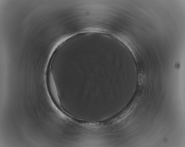 X0000097630995200803281055