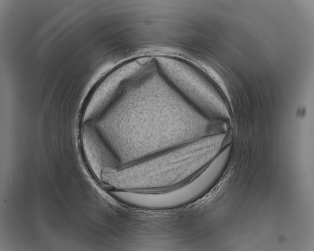 X0000097630997200803281055