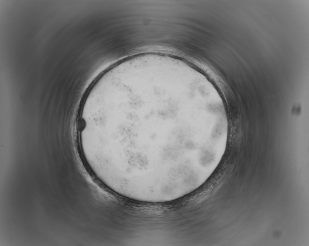 X0000097630999200803281055