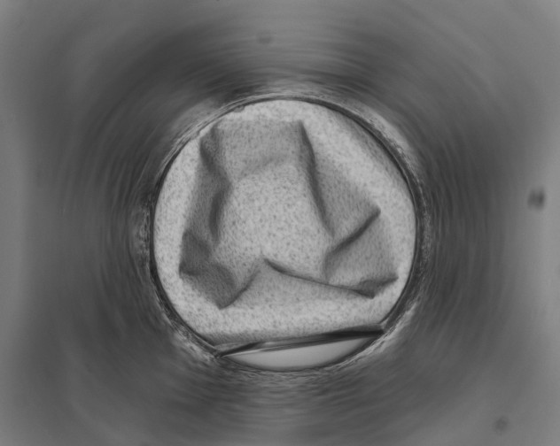 X0000097631001200803281055