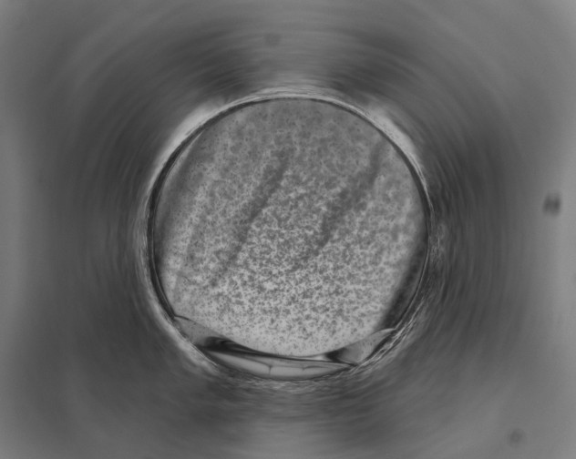 X0000097631005200803281055