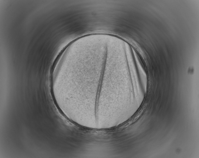 X0000097631006200803281055
