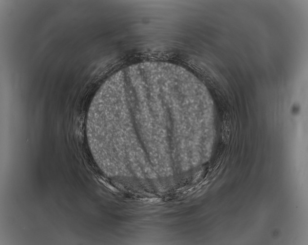 X0000097631010200803281054
