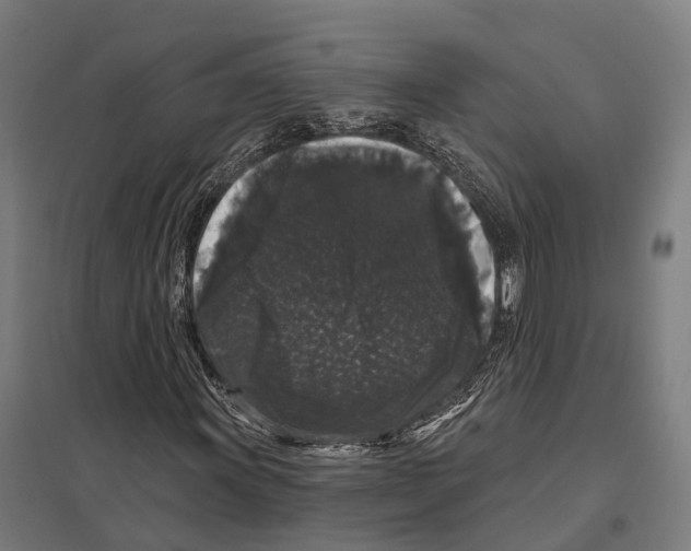 X0000097631011200803281055
