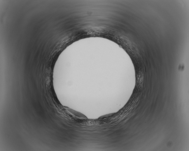 X0000097631012200803281055