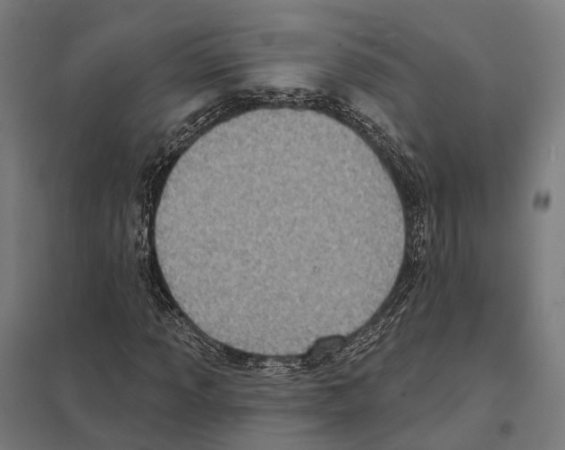 X0000097631013200803281055