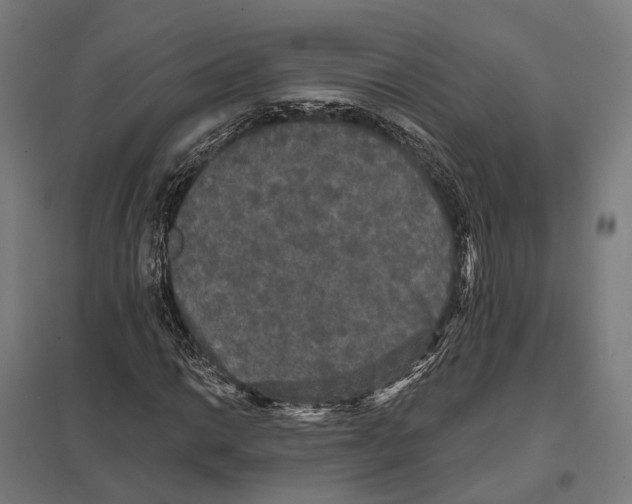 X0000097631014200803281055