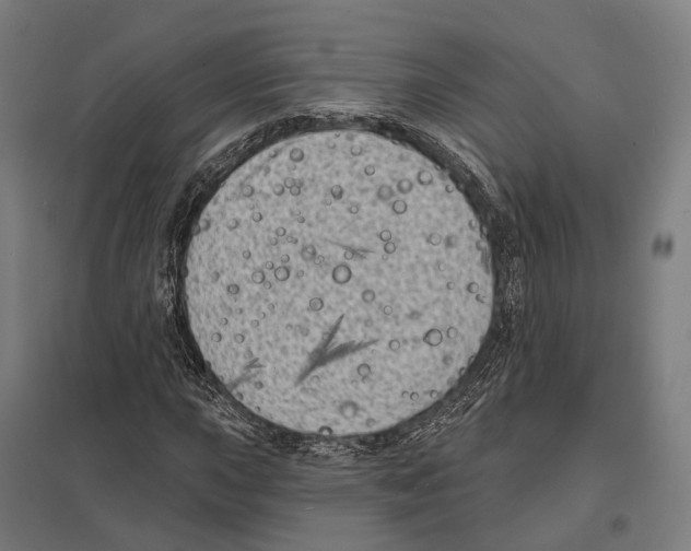 X0000097631015200803281055