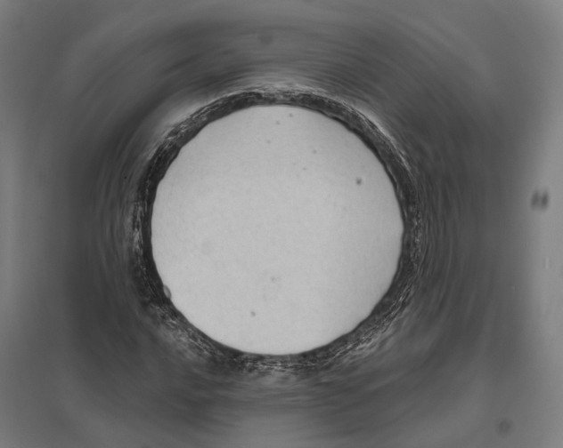 X0000097631016200803281055