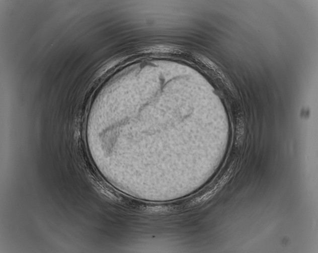 X0000097631017200803281055