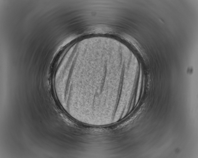 X0000097631018200803281055