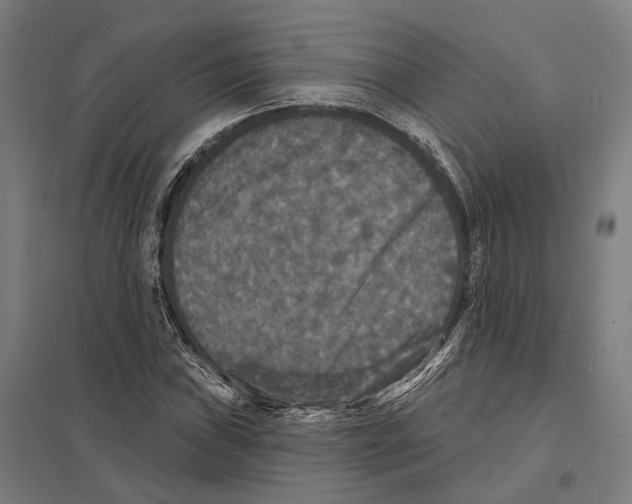 X0000097631019200803281055