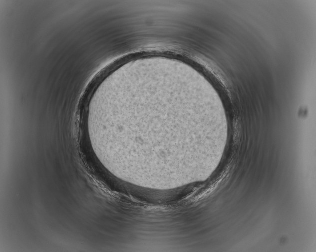 X0000097631021200803281055
