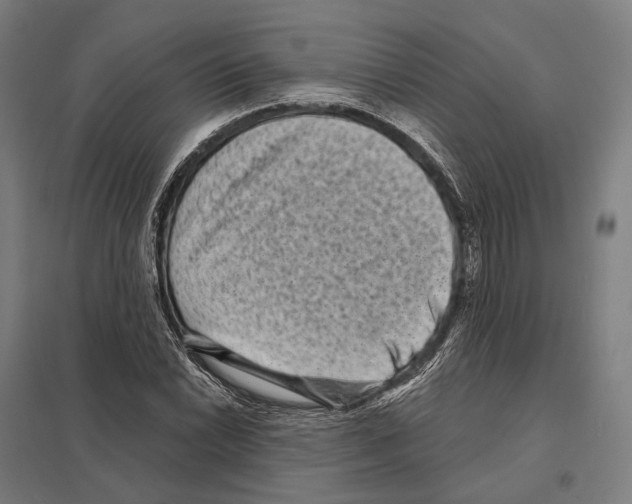 X0000097631022200803281055