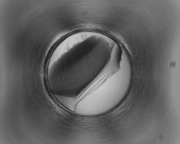 X0000097631024200803281055