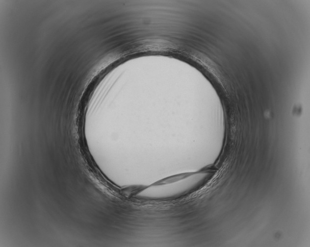 X0000097631026200803281055