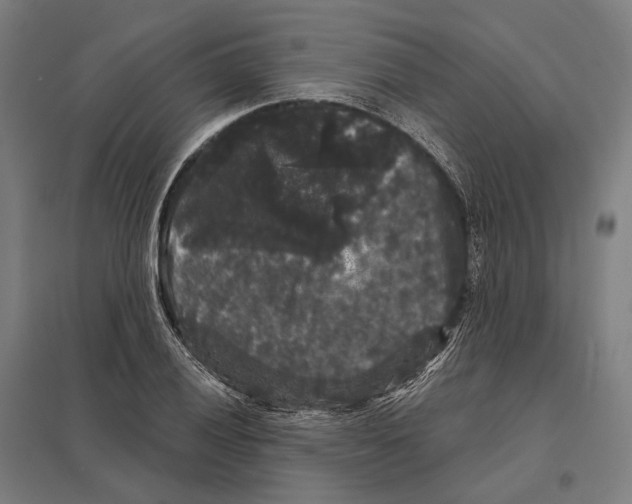 X0000097631028200803281055