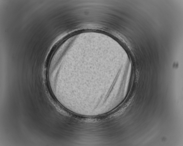 X0000097631029200803281055