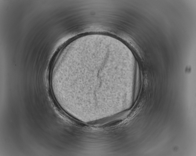 X0000097631030200803281055