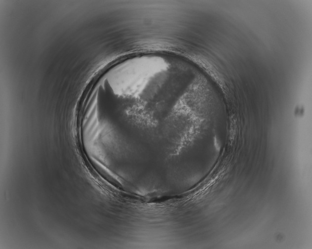 X0000097631031200803281055