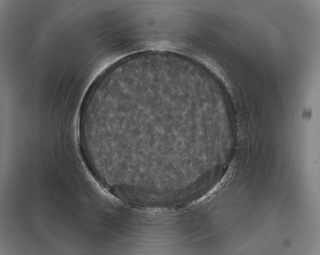 X0000097631032200803281055