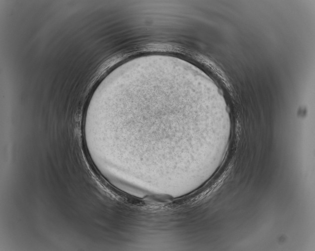 X0000097631033200803281055