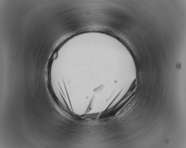 X0000097631034200803281055