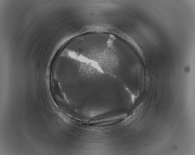X0000097631035200803281055