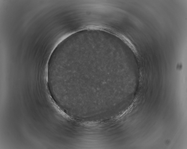 X0000097631036200803281055