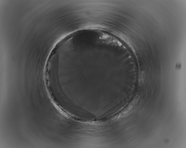 X0000097631037200803281055