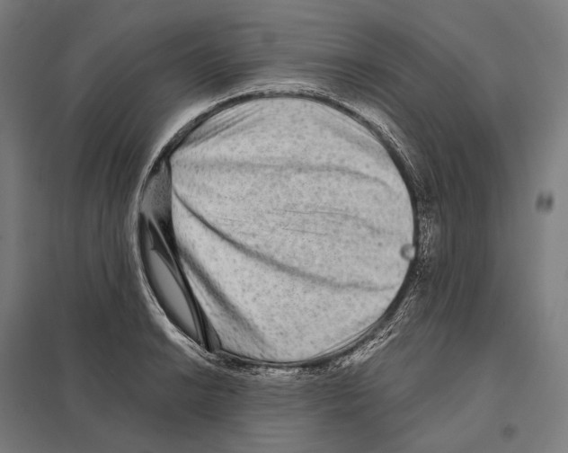 X0000097631038200803281055