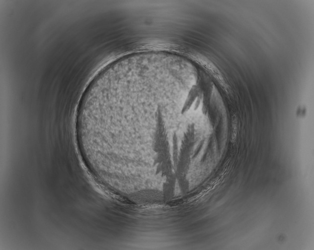 X0000097631039200803281055