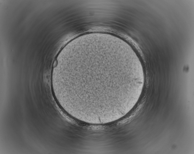 X0000097631041200803281055