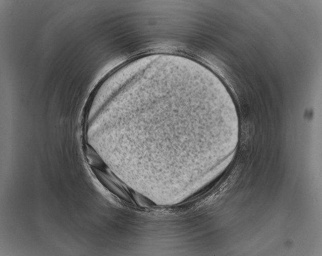 X0000097631042200803281055