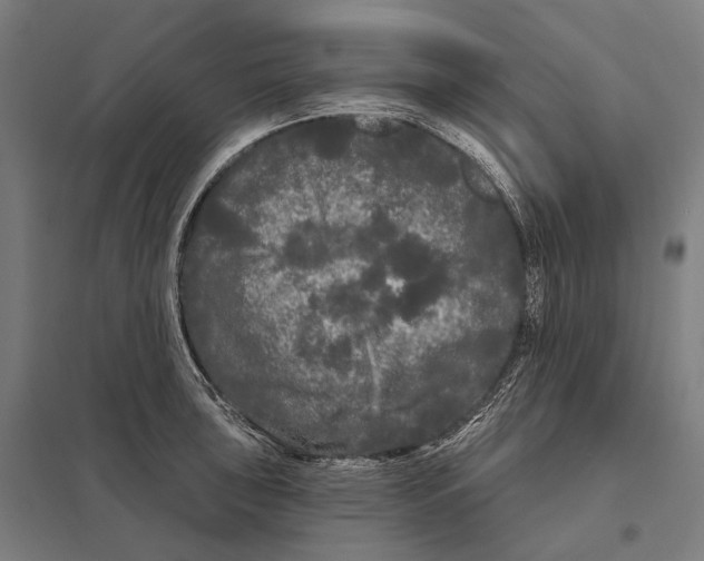 X0000097631043200803281055