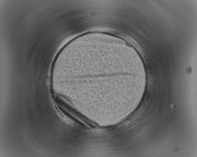 X0000097631044200803281055