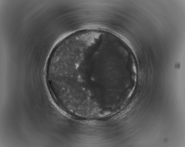 X0000097631045200803281055