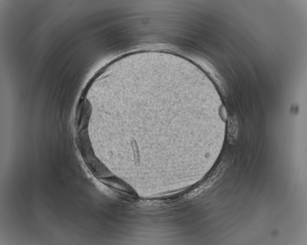 X0000097631046200803281055