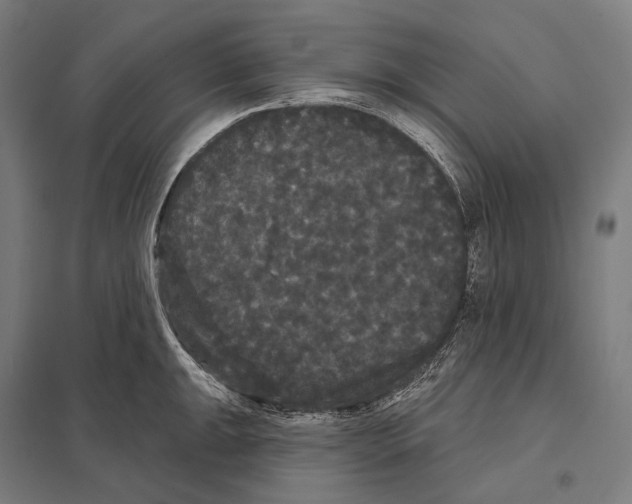 X0000097631047200803281055
