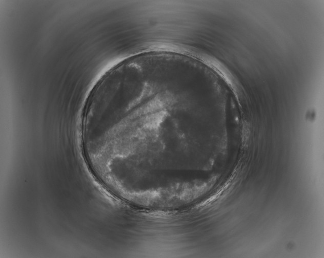 X0000097631048200803281055