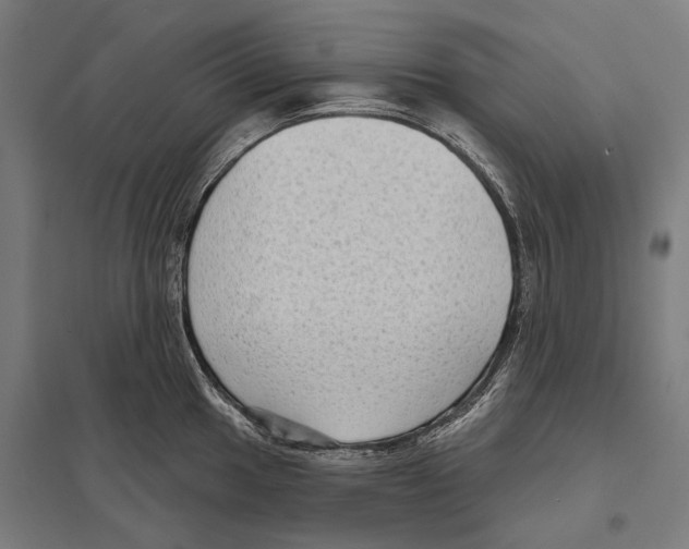 X0000097631049200803281055