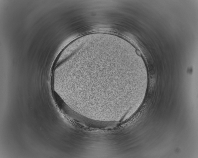 X0000097631050200803281055