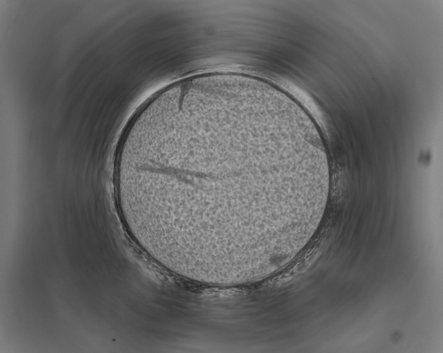 X0000097631051200803281055