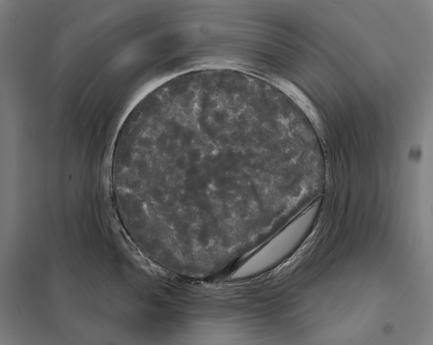 X0000097631052200803281055