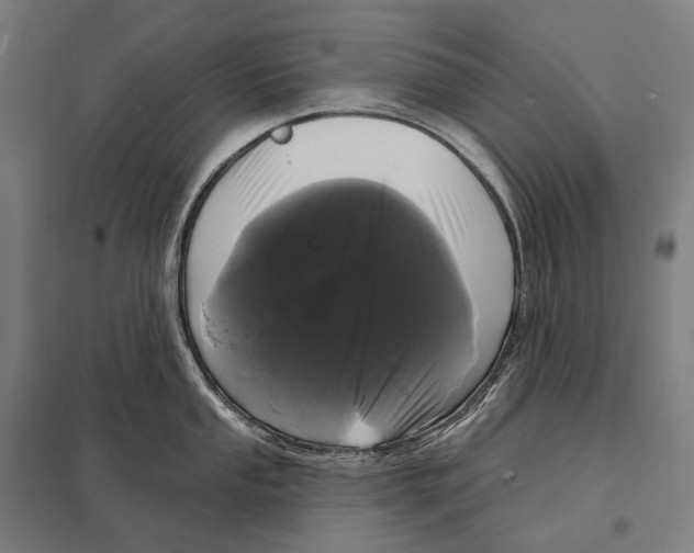 X0000097631053200803281055