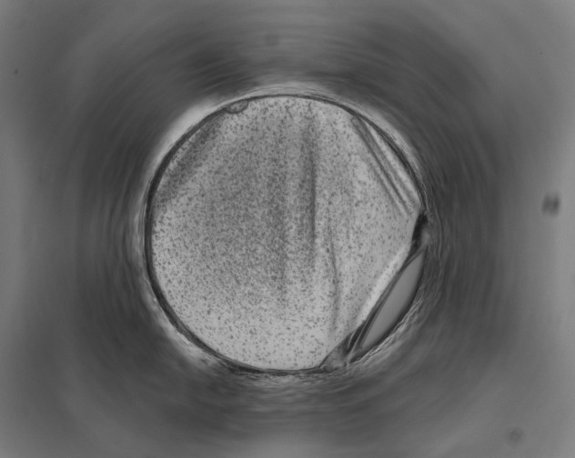 X0000097631054200803281055