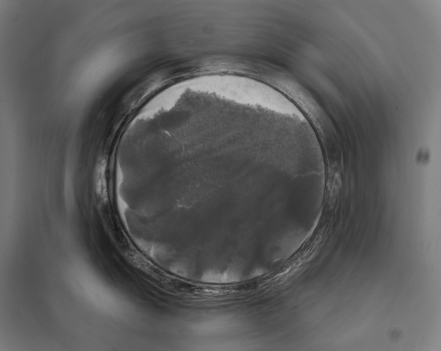 X0000097631055200803281055