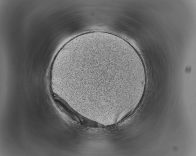 X0000097631056200803281055