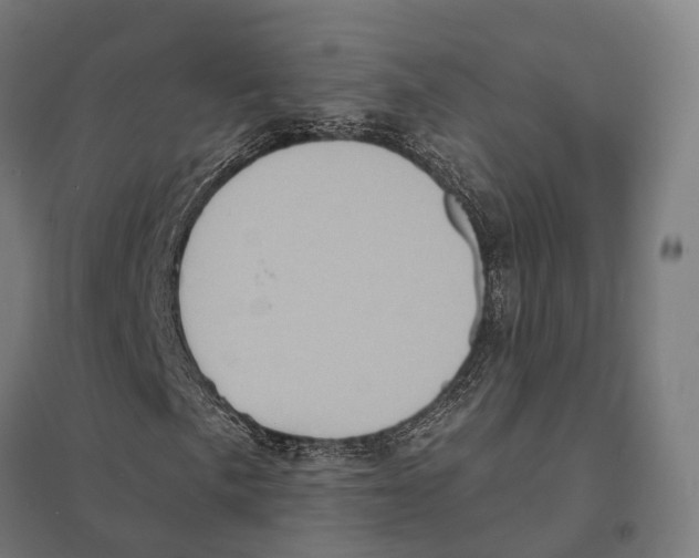 X0000097631057200803281054